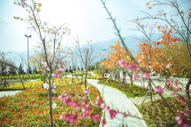 Mãn nhãn rừng hoa đào như cổ tích tại Sun World Fansipan Legend